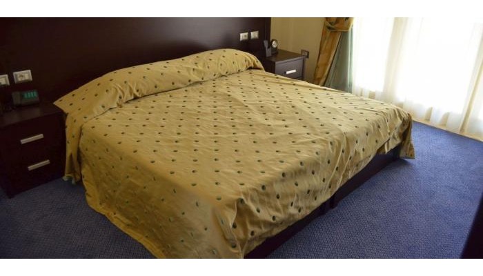 Hotel Leonardo poza 6