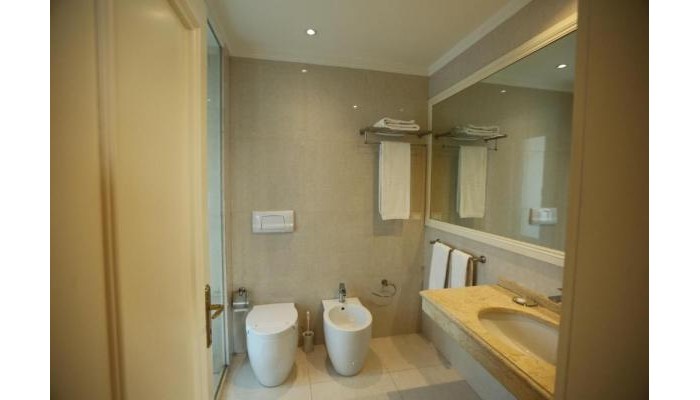 Palace Hotel & Spa poza 9