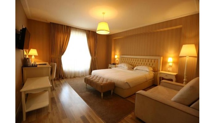 Palace Hotel & Spa poza 1