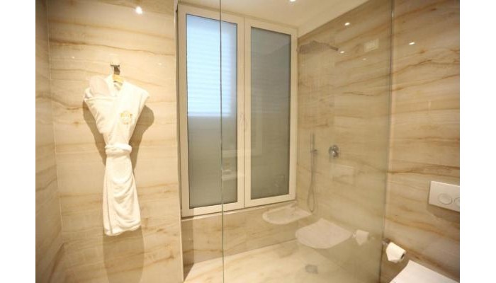 Palace Hotel & Spa poza 8