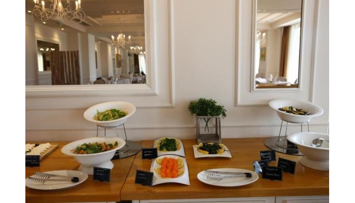 Palace Hotel & Spa poza 14